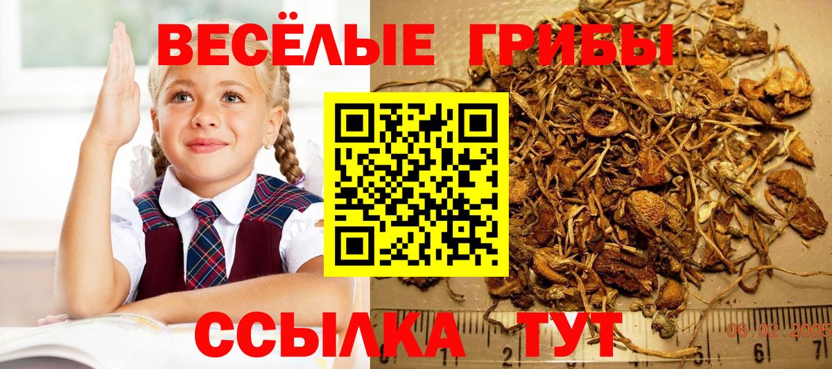 Галлюциногенные грибы ЛСД  Галлюциногенные грибы мицелий  Богданович  Вход с VPN 